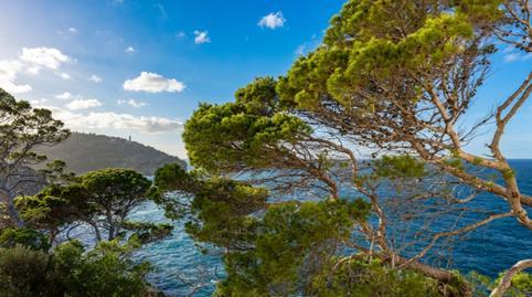 Apartment for sale in Sóller