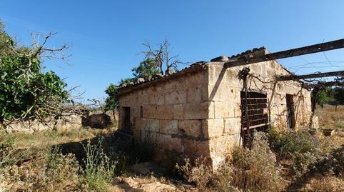 Rustic property for sale in Santa Margalida Poble