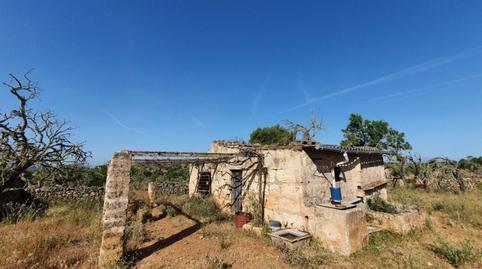 Rustic property for sale in Santa Margalida Poble