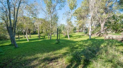 Rustic property for sale in Es Grau – Serra Morena