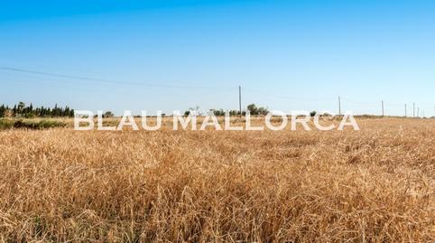 Rustic property for sale in Manacor Centre