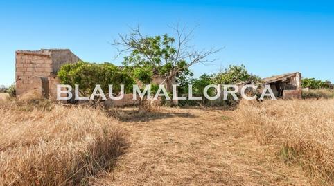Rustic property for sale in Manacor Centre