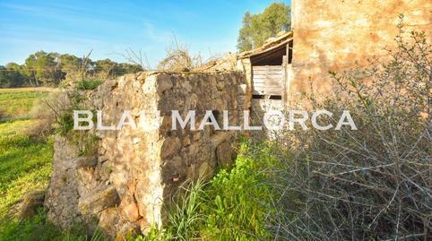 Rustic property for sale in Manacor Centre