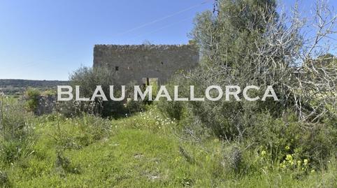 Rustic property for sale in Manacor Centre