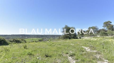 Rustic property for sale in Manacor Centre