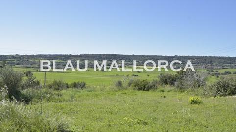 Rustic property for sale in Manacor Centre
