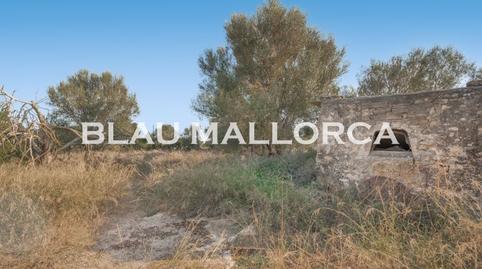 Rustic property for sale in Manacor Centre