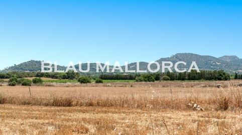 Rustic property for sale in Manacor Centre
