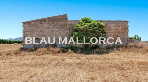 Rustic property for sale in Manacor Centre