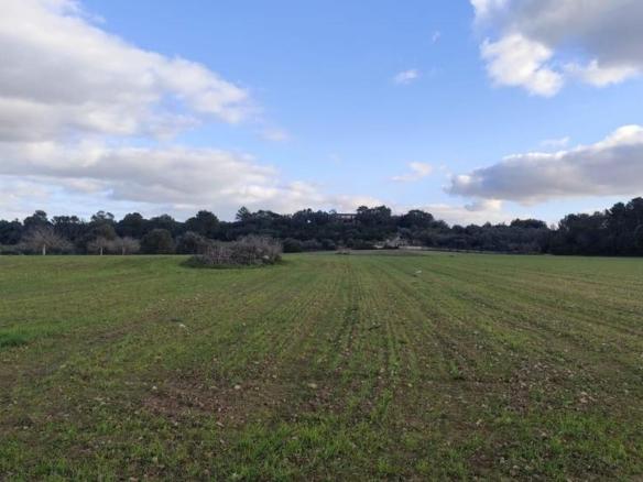 Residential property for sale in Sineu