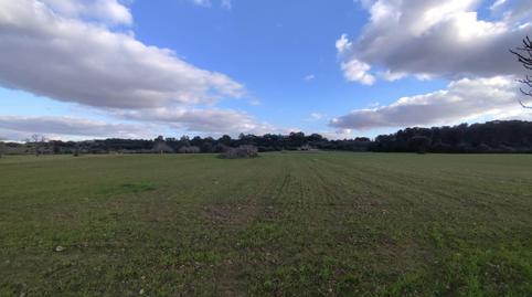 Residential property for sale in Sineu
