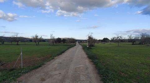 Residential property for sale in Sineu