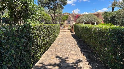 Rustic property for sale in Llucmajor village