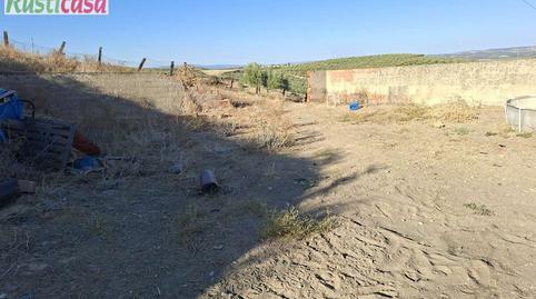 Land for sale in Bailén