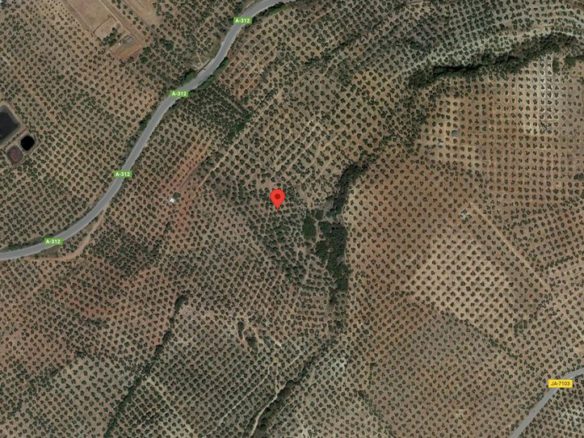 Land for sale in Barranco Bajo, Navas de San Juan