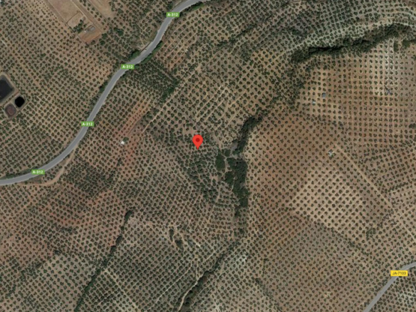 Land for sale in Barranco Bajo, Navas de San Juan