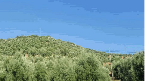 Land for sale in Barranco Bajo, Navas de San Juan