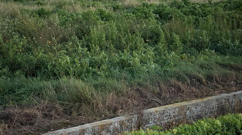 Land for sale in Camino de Cascajos, 24, La Estrella