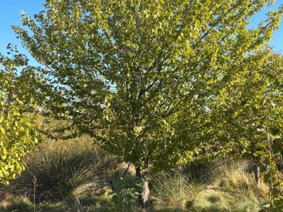 Land for sale in Villamediana de Iregua