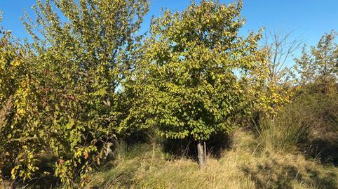 Land for sale in Villamediana de Iregua