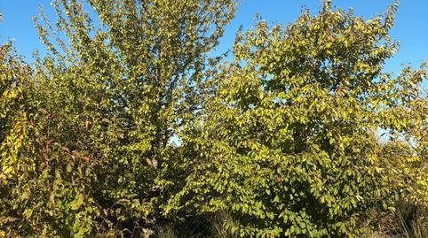 Land for sale in Villamediana de Iregua