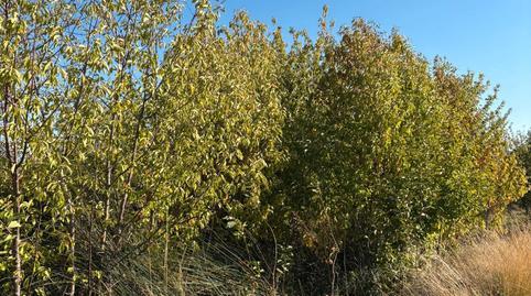 Land for sale in Villamediana de Iregua