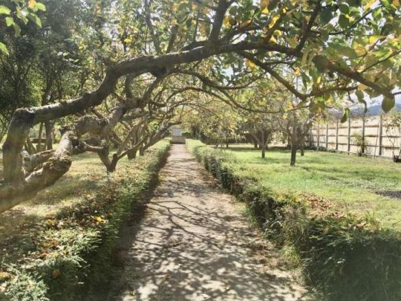 House or villa for sale in Santo Domingo de la Calzada