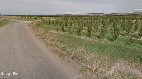 Land for sale in Calahorra