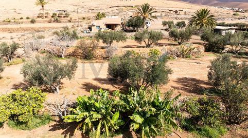 House or villa for sale in Calle Polígono 2 Paraje 182 Tablero la Pileta, 116, Päjara village