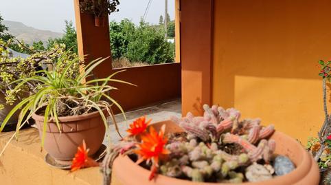 Rustic property for sale in Vega de San Mateo
