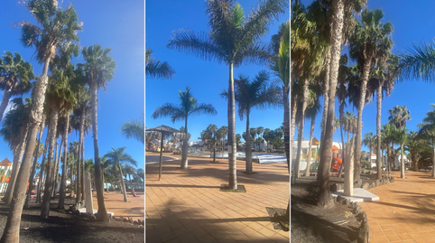 Apartment for sale in Corralejo