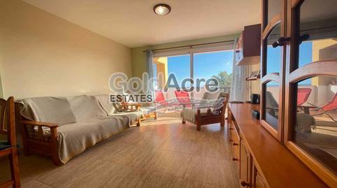 Penthouse for sale in Parque Holandés