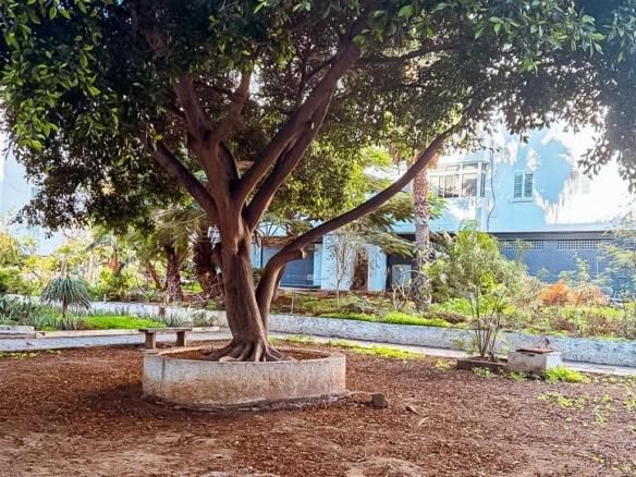 Apartment for sale on Calle Córdoba, Vega de San José