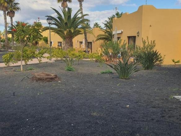 Apartment for sale on Avenida Pedro y Guy Vandaele, 9, Corralejo