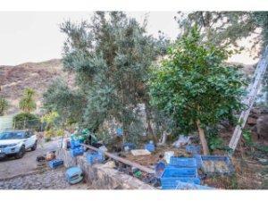 Rustic property for sale on Calle San José, San Bartolomé Interior