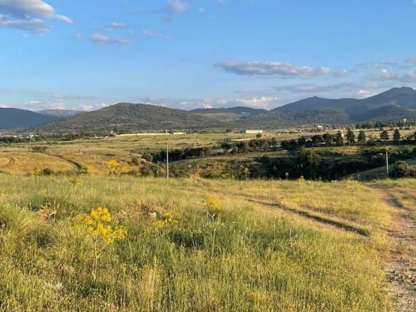 Land for sale on Calle Real, Palazuelos de Eresma
