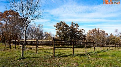 Land for sale on the Turégano Road, Sotosalbos