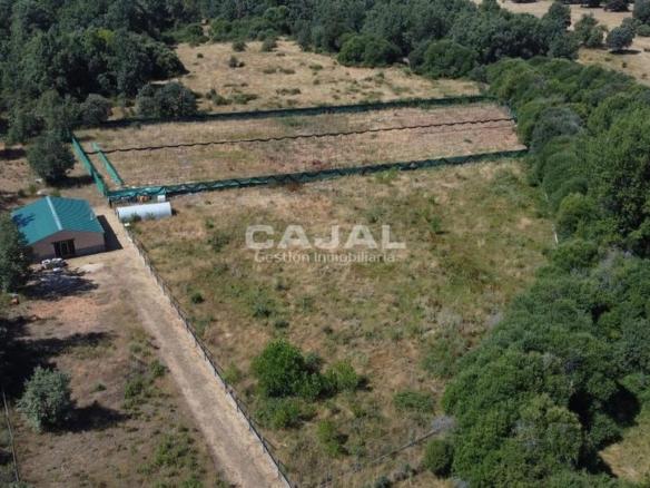 Land for sale in 8, Fresno de Cantespino