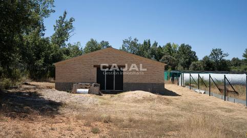 Land for sale in 8, Fresno de Cantespino