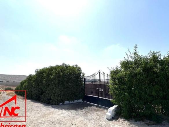Rustic property for sale in Lebrija