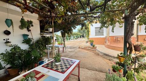 Rustic property for sale in El Viso del Alcor