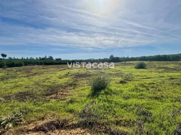 Land for sale on Carretera la Cierva, Carmona