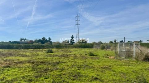 Land for sale on Carretera la Cierva, Carmona