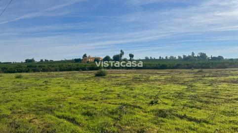Land for sale on Carretera la Cierva, Carmona