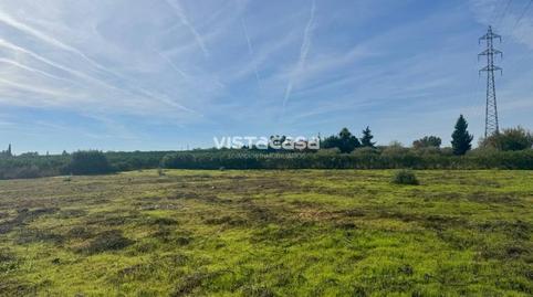 Land for sale on Carretera la Cierva, Carmona