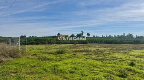 Land for sale on Carretera la Cierva, Carmona