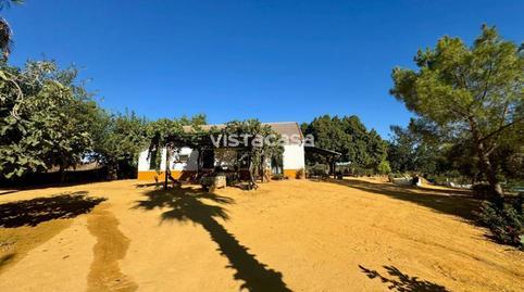 Land for sale in Mairena del Alcor