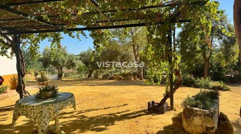 Land for sale in Mairena del Alcor