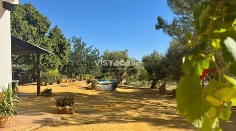 Land for sale in Mairena del Alcor