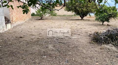 House or chalet for sale in Nostra Senyora de L’assumpció, Deltebre